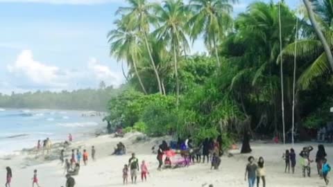 Families on the beach