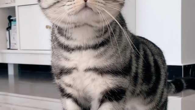There is a quarrel at home, the baby thinks he is talking about it, look at this little look