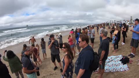 Huntington Hang 20 Surf Dog Competition.