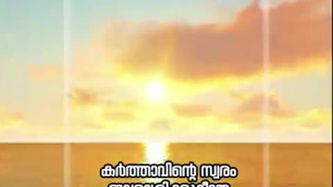 Bible Verse - Shorts #Fr. Daniel Poovannathil