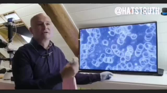 Vax blood