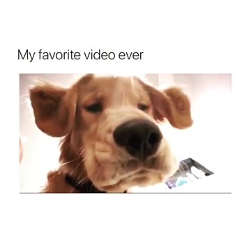 When you accidentally open the front camera but you still look cute