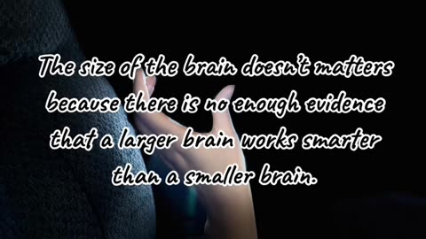 Fun facts of brain