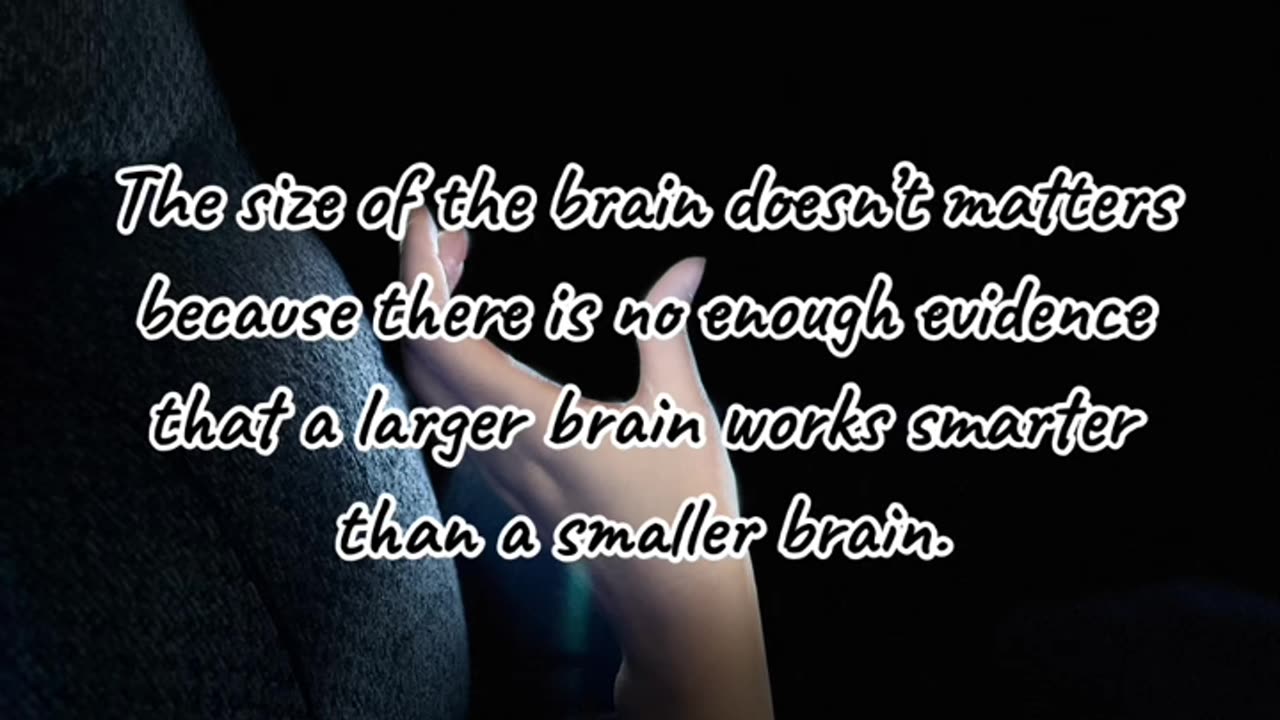 Fun facts of brain