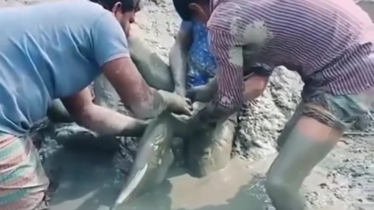 Dirty fish attack on man