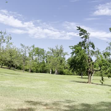 Happy Weekend Everyone