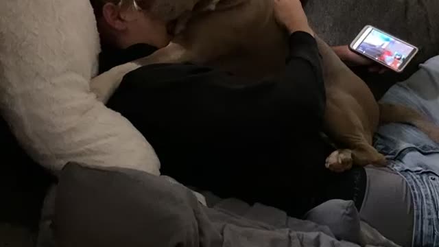 Dog just be a lover!!🤌❤️❤️