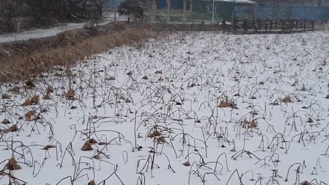 a snowy reservoir