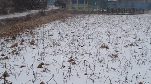 a snowy reservoir