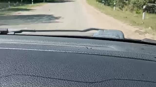 Еду с братом