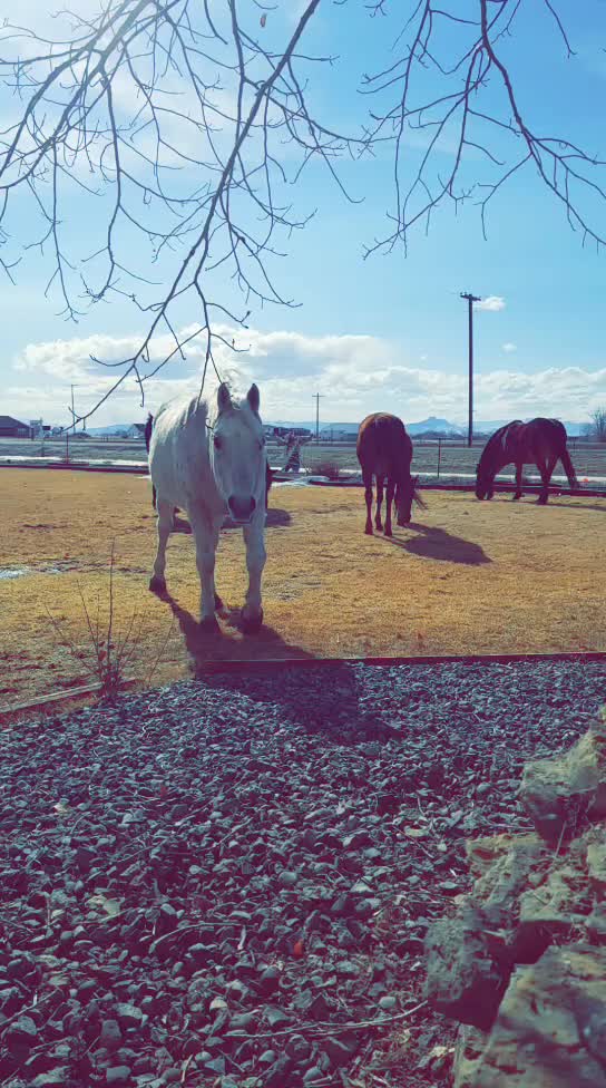 Dary checking out the scenery