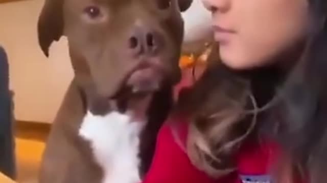 🐶 😘 Kiss your dog and see his reaction #dogs