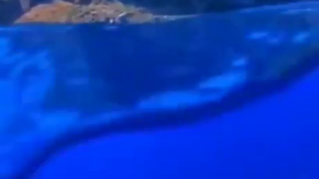 Ahh nature is so beautiful!