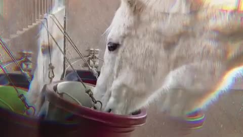 Bright effect - treats time