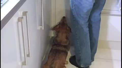 When dad is making food