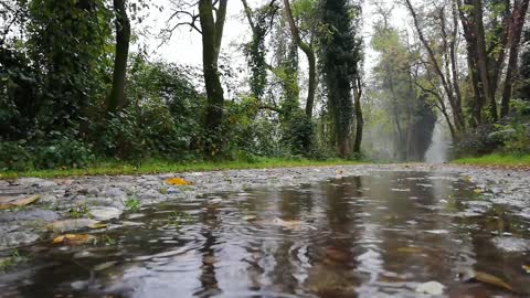 Rain, thunder, thunder Relaxing sounds of nature. Sleepy sounds of summer rain!