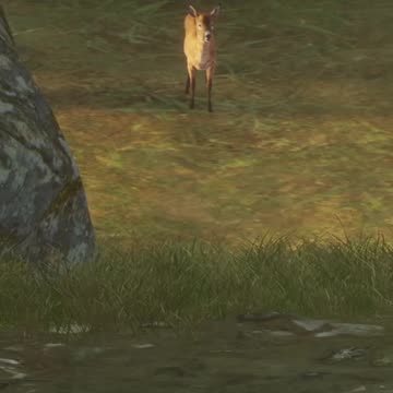 What are you... Hunter Call of the Wild