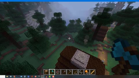 Minecraft vanilla skin version 1.17.1_4