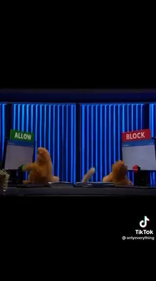 While big tech are having a meltdown.... Let’s have a laugh at their expense 😂