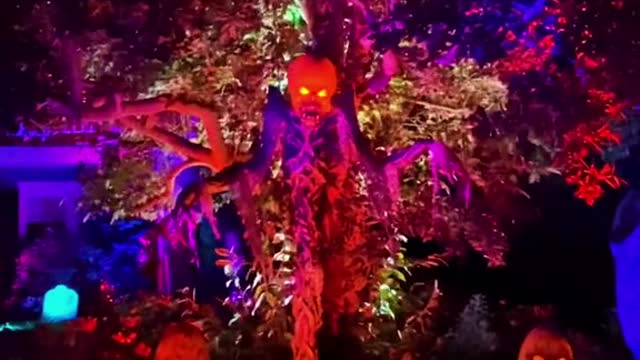 Me when October hits onLong Island and I