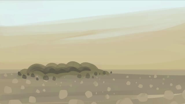 Somewhere near you, an animal is defecating.