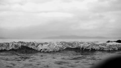 Sea sounds
