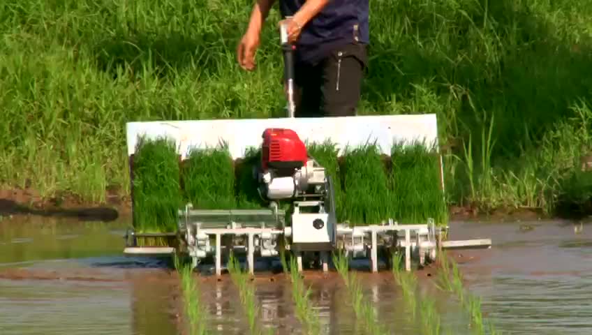 How to use rice transplanting machine