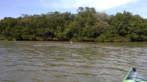 OLD - Kayaking with Nick Everett