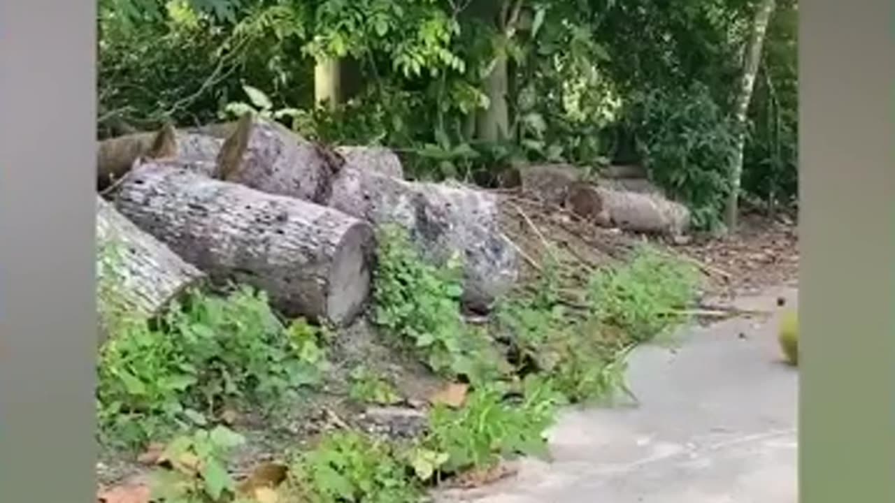 Bad day will be better watch this video part 5
