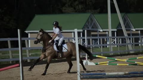 a girl on a horse participates in competitions. female jockey on her horse jumps over a hurdle