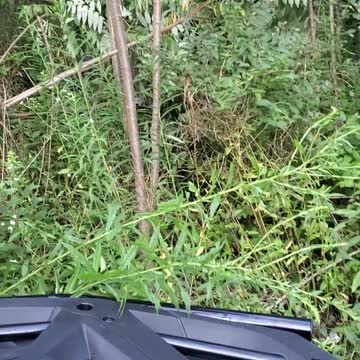 Artic cat alterria 570