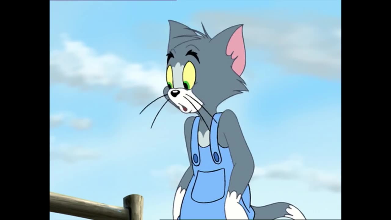 Tom and Jerry - ToonHub01