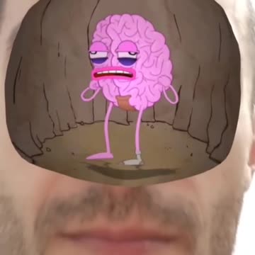 Brain