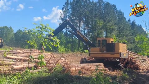 Lumber Machines Cut Down, Strips and Stacks Tall Trees in Seconds!