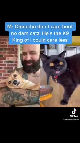 The Chooch giveth and the Chooch taketh away. And he sure don’t care bout no cats!