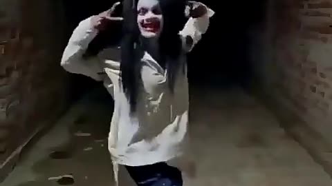 Funny Videos