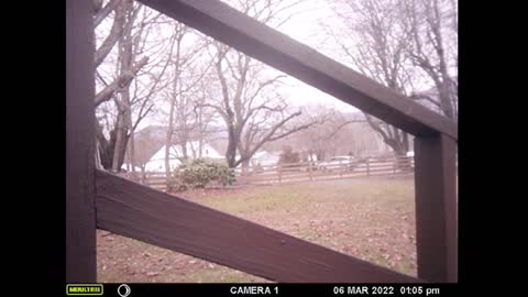 Sunday Country Traffic Cam 3 6 22