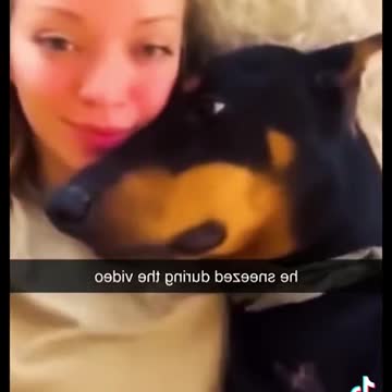 Me and my Dog Best amazing tiktok video