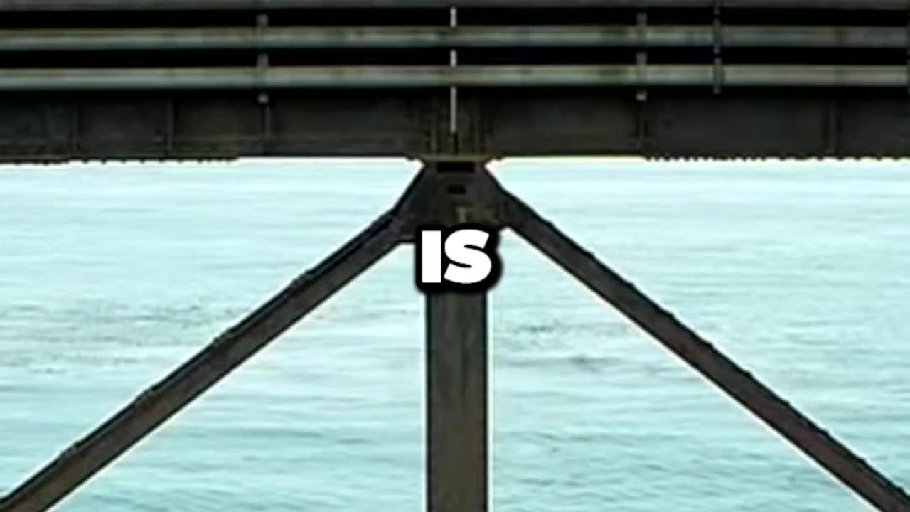 Unleashing Your Competitive Drive: Staying Ahead in the Game