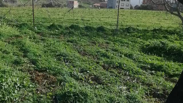 طبيعة في الجزائر