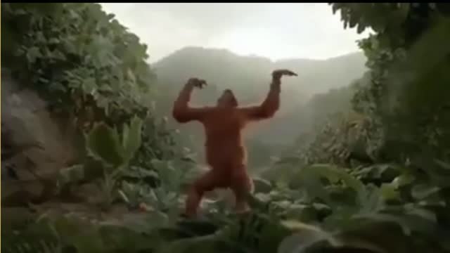 monkey dancing