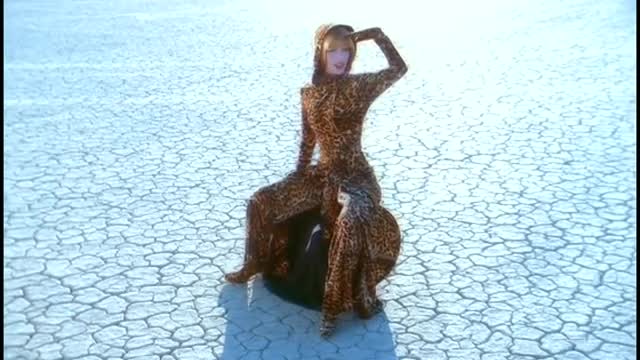 Shania Twain : That Don't Impress Me Much