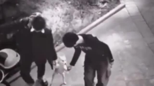 Funny video collection!!!!!!!!!!!!