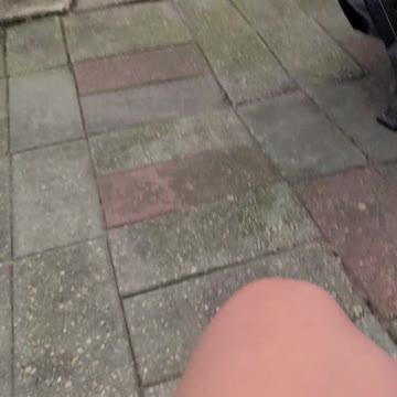 Adorable! Bruno the pitbull loves his new turf