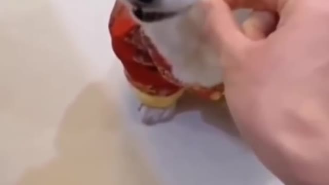 You Won't Believe What These Animals Did