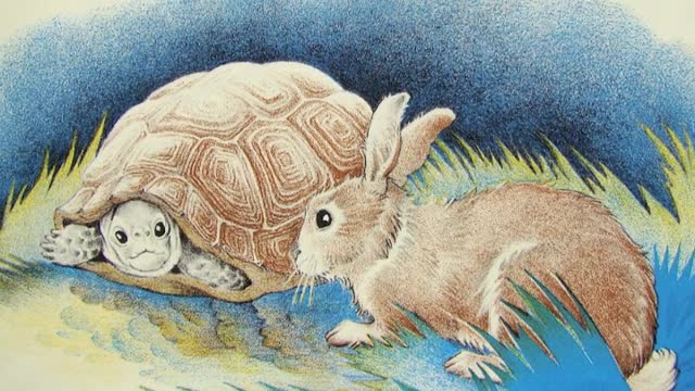 The hare and the turtle