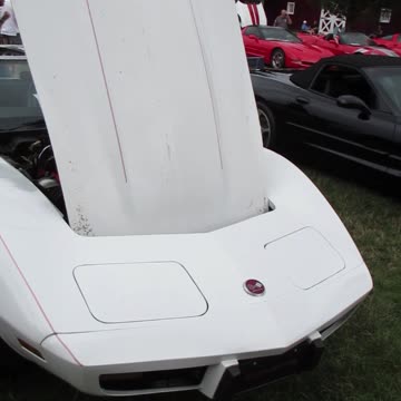 1976 Chevrolet Corvette