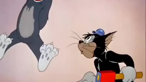 A mouse & cat funny scenes