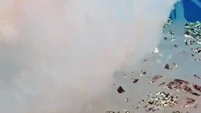 Beautiful Jellyfish