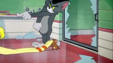 Tom and jerry 😻